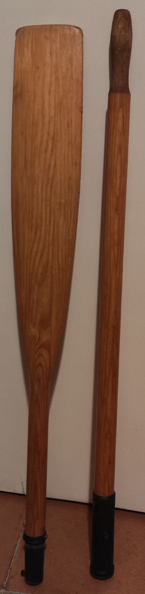 Remo Narwhal 180cm - Madera