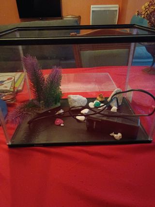 Pecera pequeña - Acuario de cristal