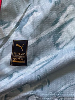 Camiseta Puma AC Milán - Gris/Roja
