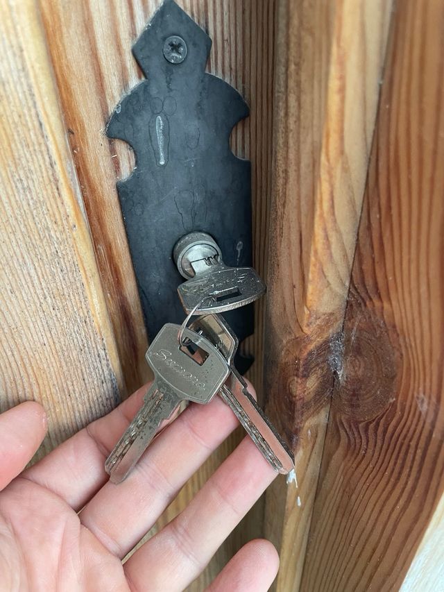 Puerta madera maciza 210x925cm