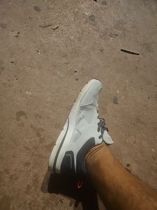 Zapatillas deportivas grises y azules
