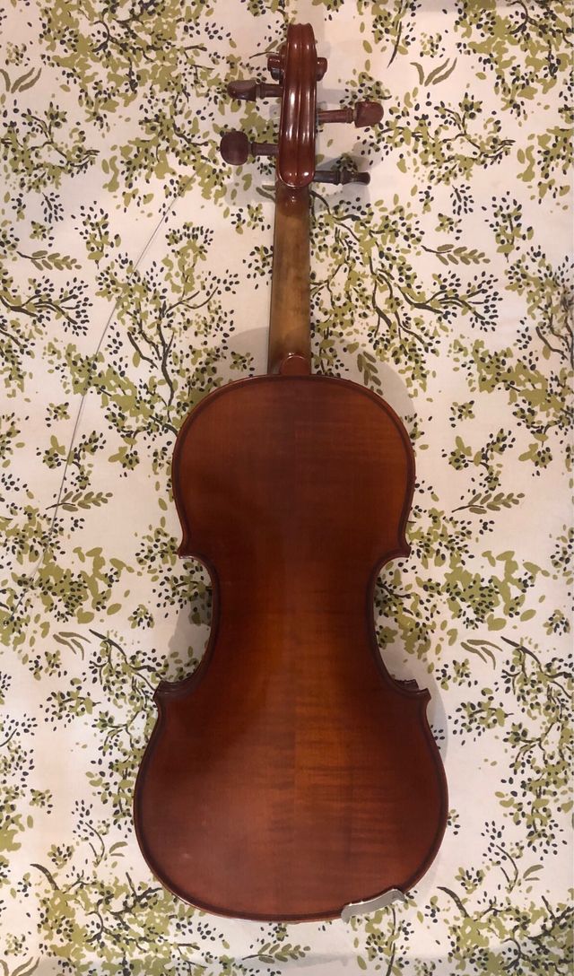 Violín con estuche