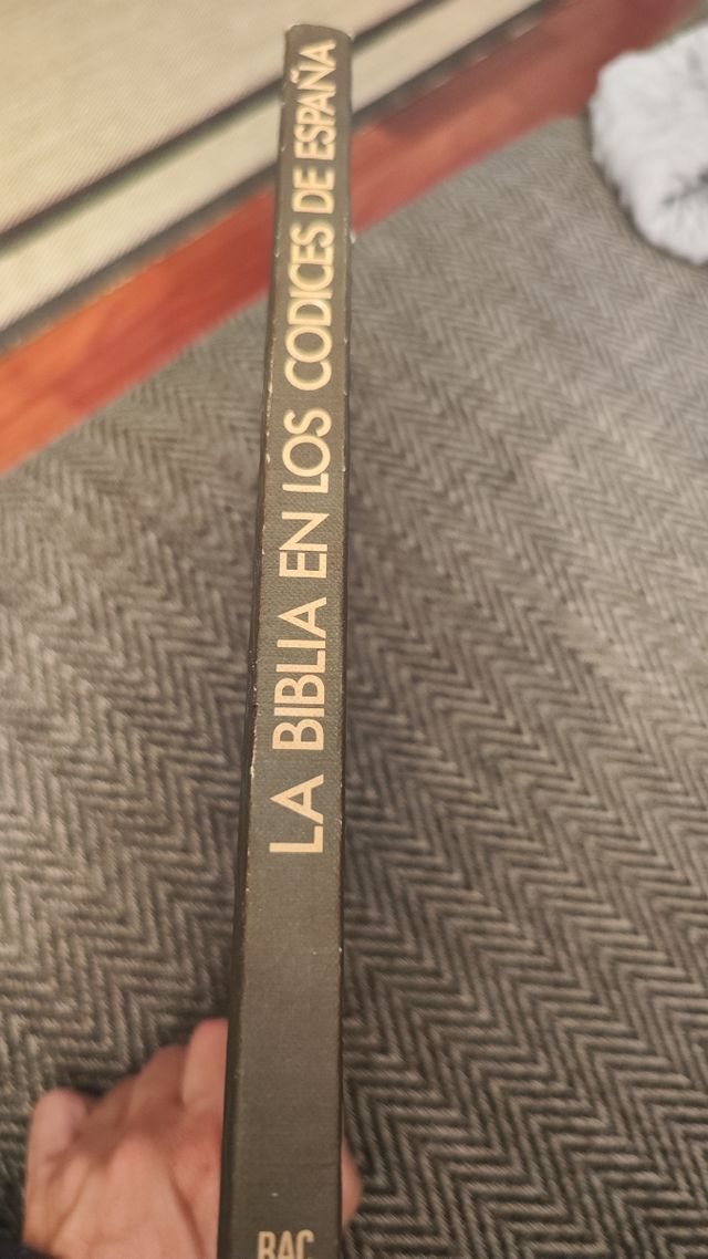 La biblia en los codices de España.