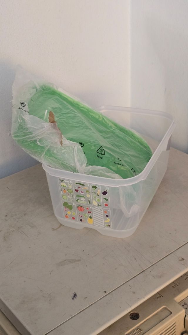 Contenitore Tupperware verde con coperchio