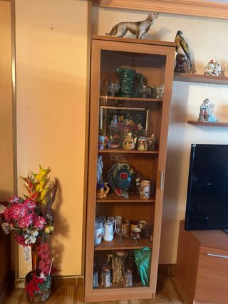 conjunto Mueble vitrina salón madera