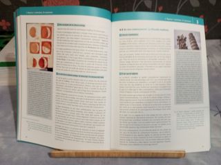 Història de la filosofia 2n Batxillerat