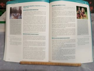 Història de la filosofia 2n Batxillerat
