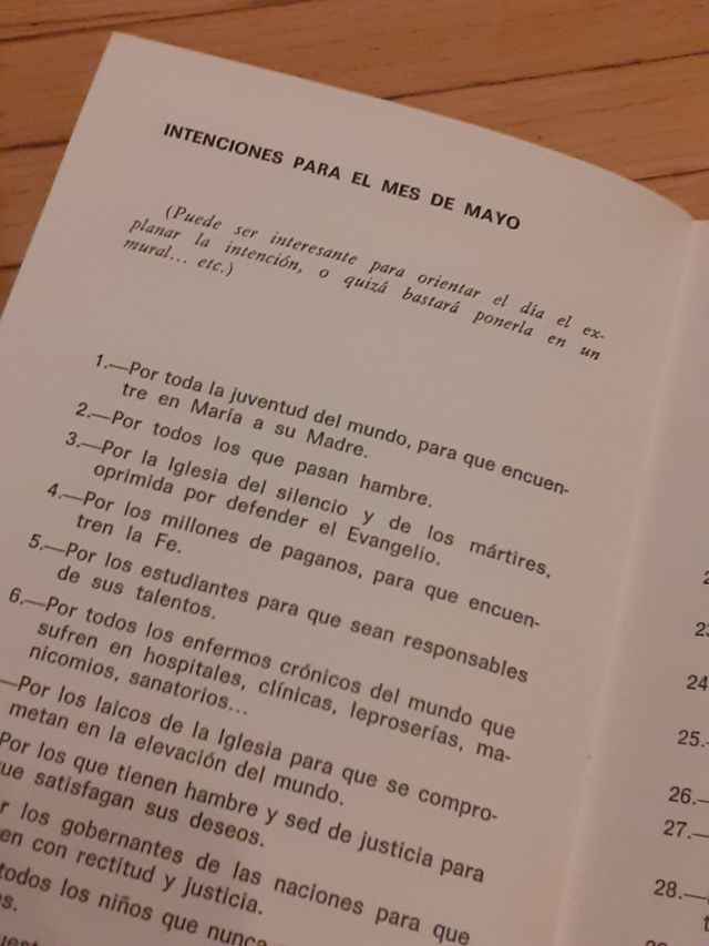 Santa María de la juventud 