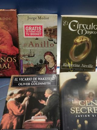 9 libros, ficción histórica, NUDO DE SANGRE, EL ANILLO, LA CENA SECRETA, CONTRA VIENTO Y MAREA...