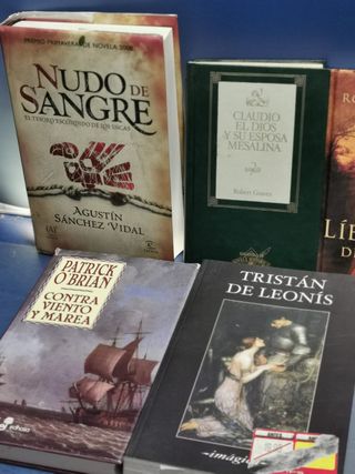 9 libros, ficción histórica, NUDO DE SANGRE, EL ANILLO, LA CENA SECRETA, CONTRA VIENTO Y MAREA...