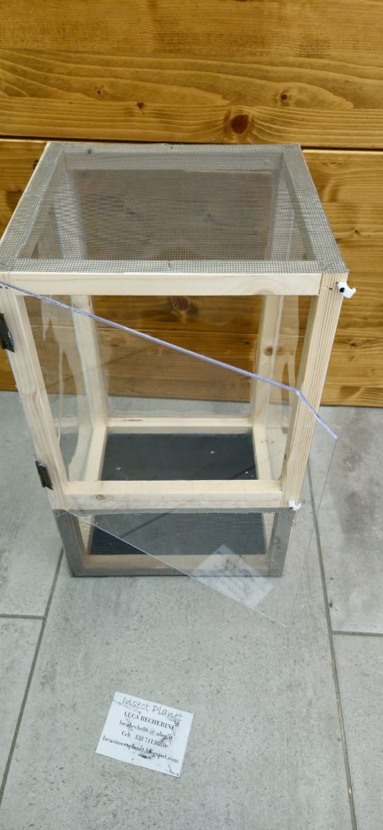 Teca Terrario Insetti stecco rettili 25x25x40cm