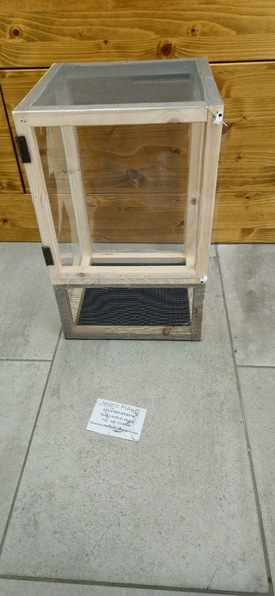 Teca Terrario Insetti stecco rettili 25x25x40cm