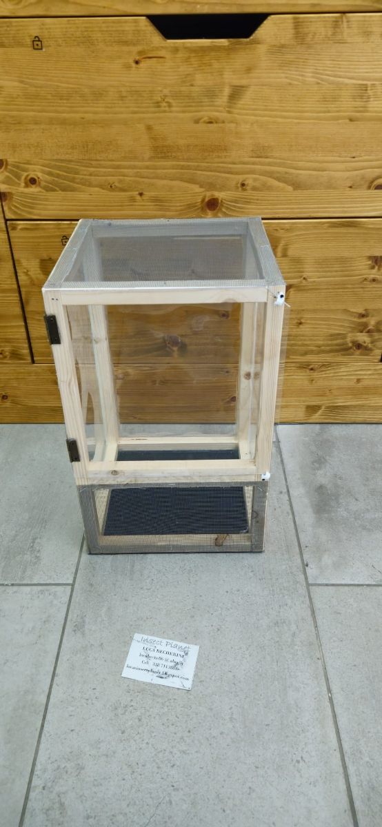 Teca Terrario Insetti stecco rettili 25x25x40cm