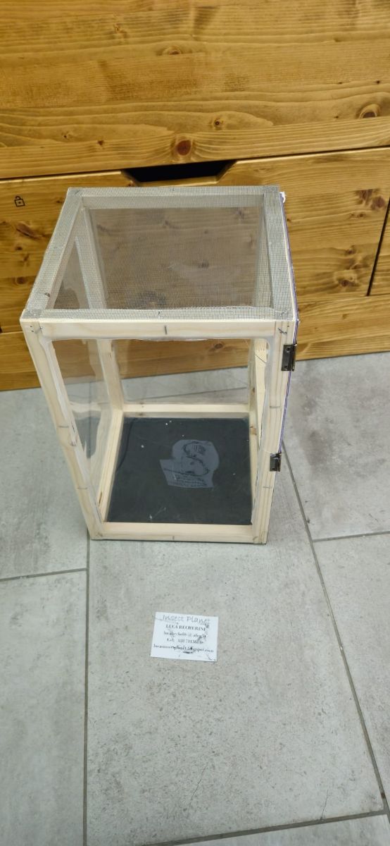 Teca Terrario Insetti stecco rettili 25x25x40cm