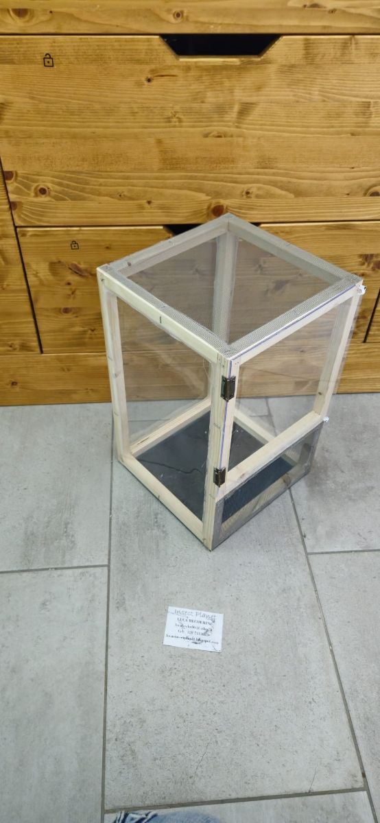 Teca Terrario Insetti stecco rettili 25x25x40cm