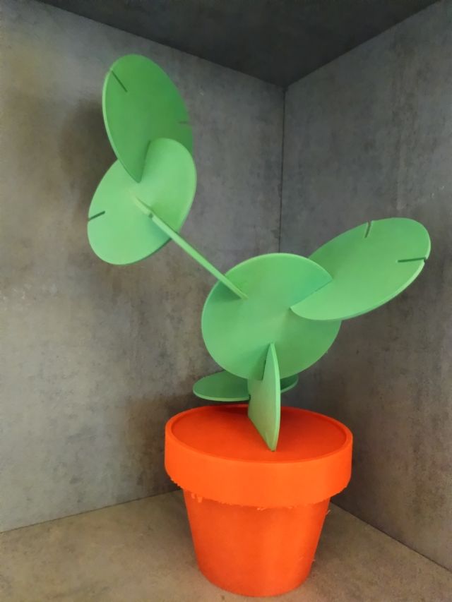 Sottobicchieri a foglia con vaso