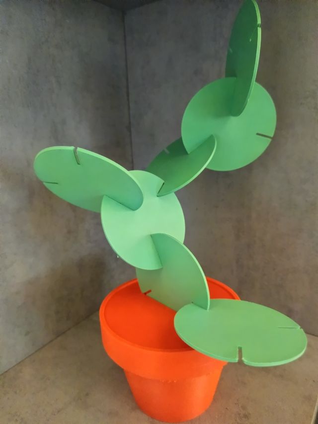 Sottobicchieri a foglia con vaso