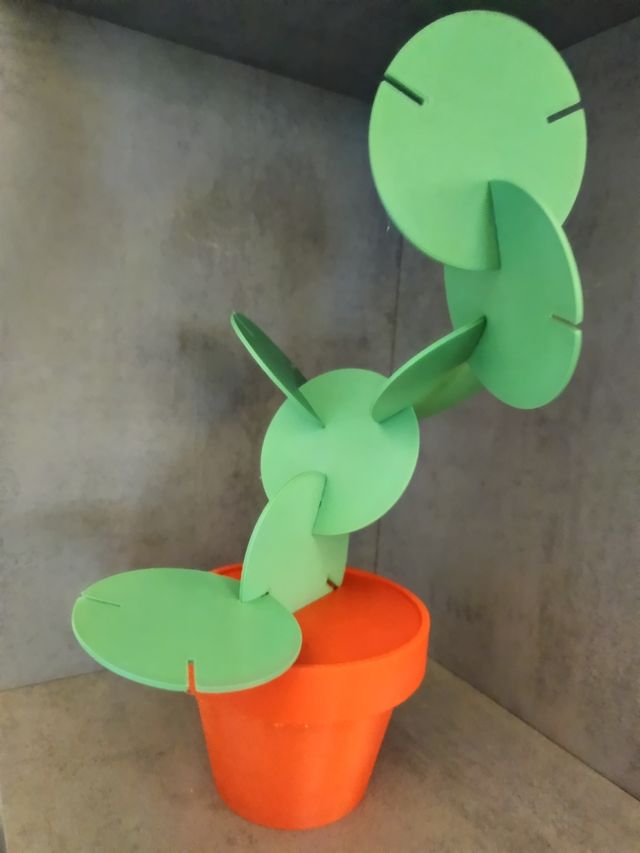 Sottobicchieri a foglia con vaso