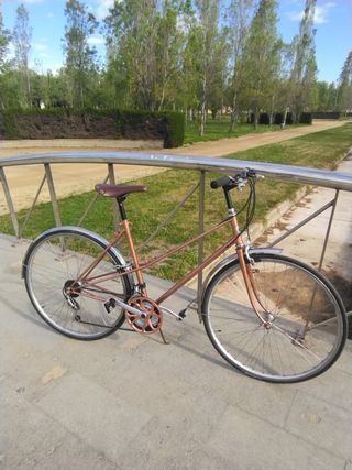 Bicicleta clásica vintage