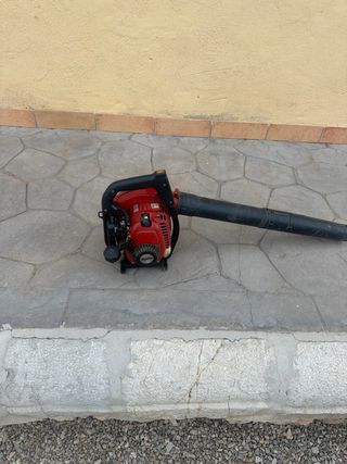 Sopladora gasolina