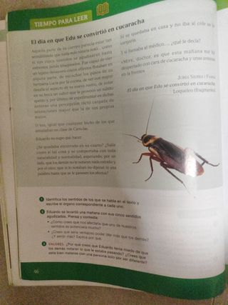 CIENCIAS DE LA NATURALEZA 6 PRIMARIA INVESTIGA ...