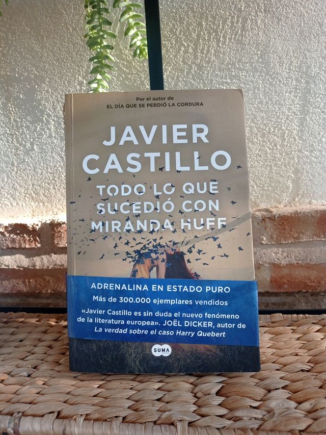 Libro javier castillo Todo lo que sucedió con Mira