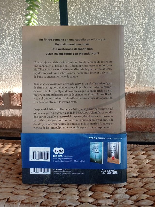 Libro javier castillo Todo lo que sucedió con Mira