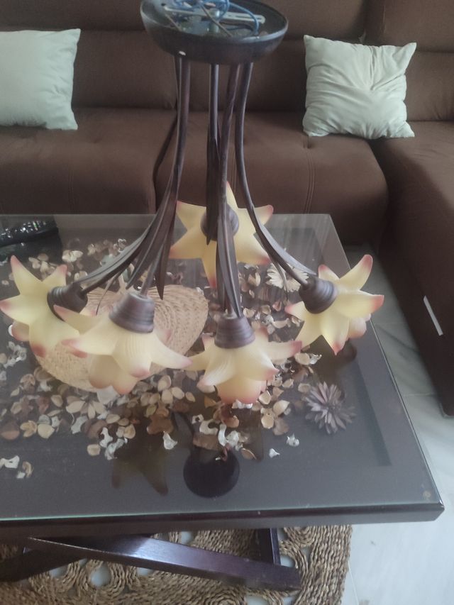 Lámpara techo 6 luces - Moderna