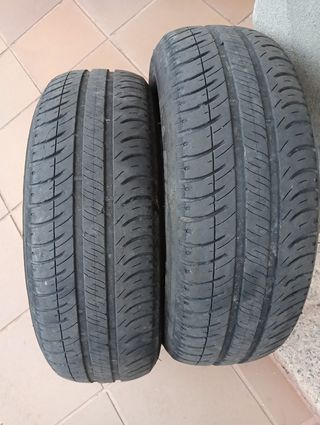 Neumáticos Michelin Energy 175/65/14