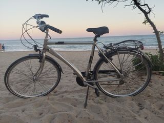 Bicicleta paseo holandesa
Arturo 633436410