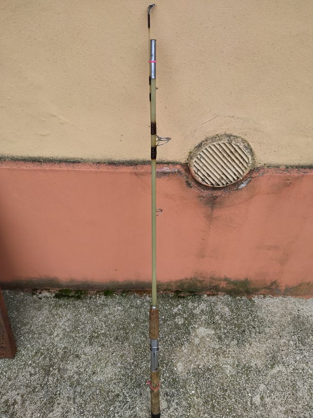 Canna Pesca Surf Casting 2,5m