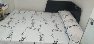 Diván Cama IKEA Flekke 80-160x200