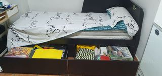 Diván Cama IKEA Flekke 80-160x200