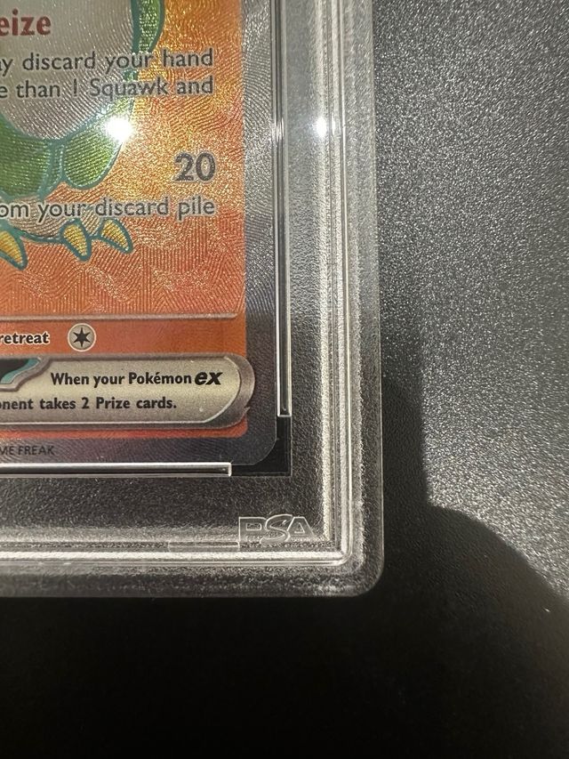 Squawkabilly ex Pal PSA 8 NM-MT