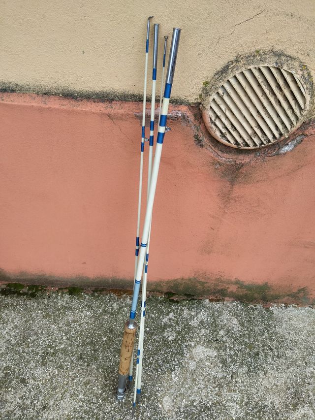 Canna Pesca Surf Cast 2,5m