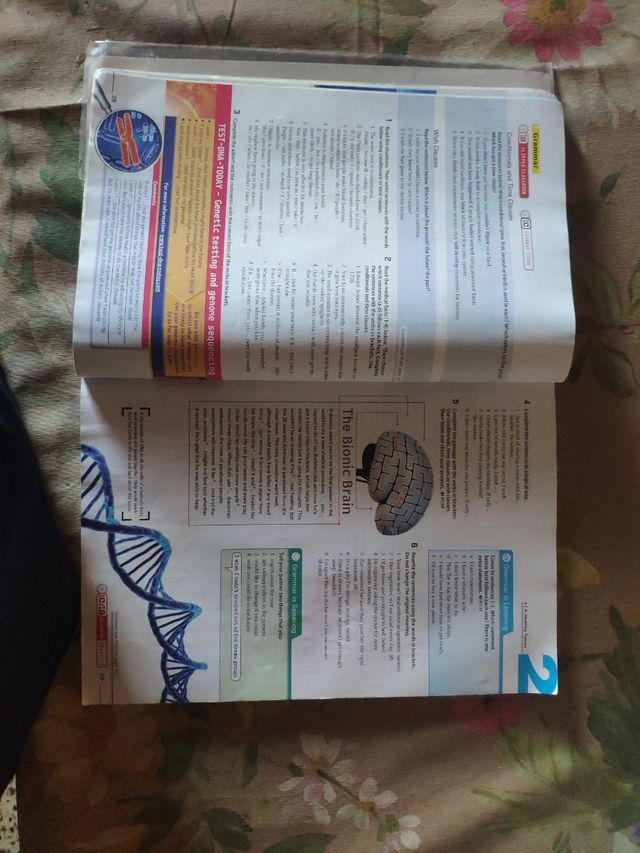 Advantage 2 Bach Alum Cat