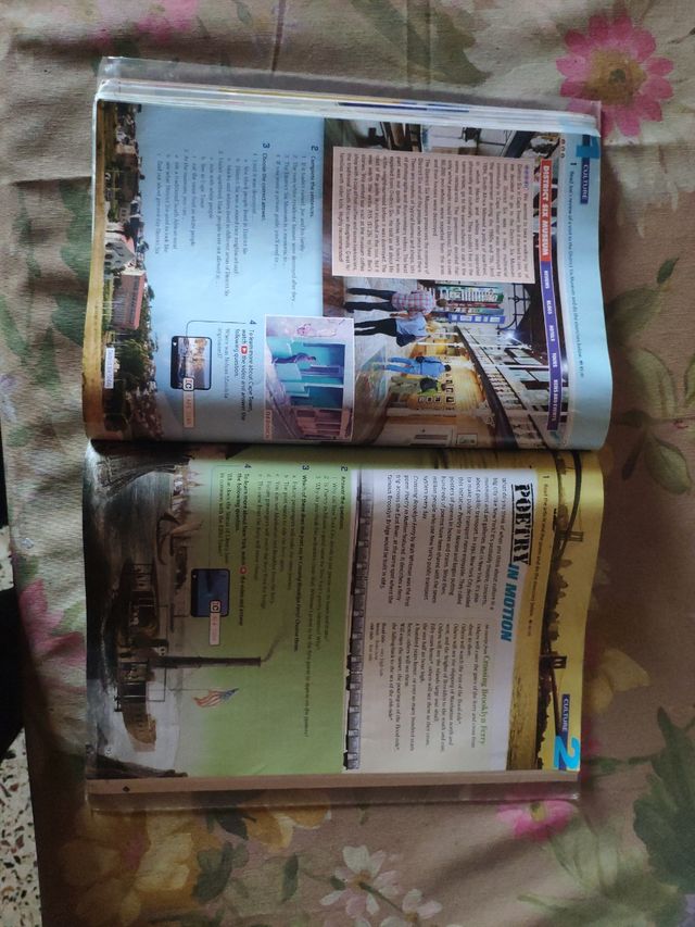 Advantage 2 Bach Alum Cat