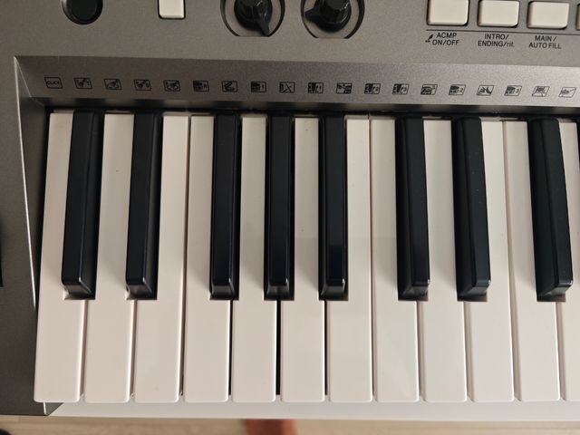 Yamaha PSR-E443