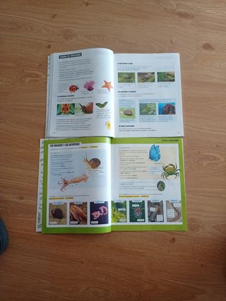 Ciencias Naturales 3 primaria 
ISBN 9788414045589