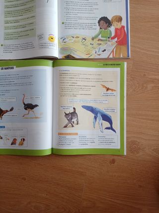 Ciencias Naturales 3 primaria 
ISBN 9788414045589