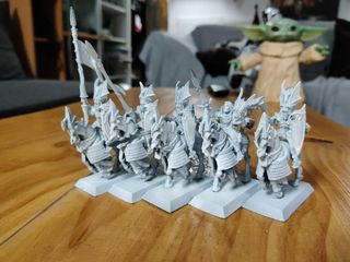 Caballeros dragón Caledor (5)