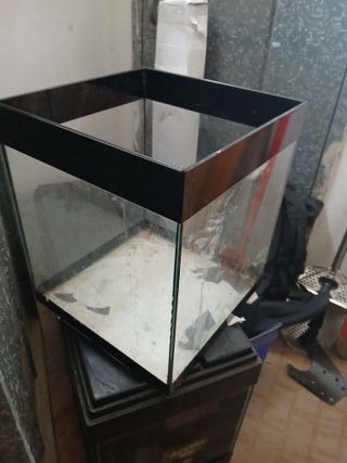 Mini Acquario - Vasca Pesci
