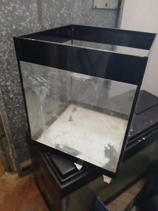 Mini Acquario - Vasca Pesci