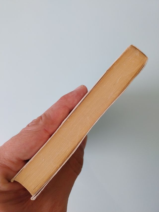 La noche el alba el día 