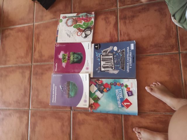 Biología, física y química, lengua e ingles