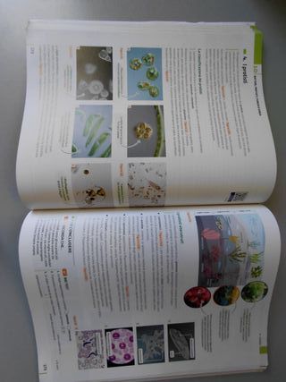 Biovità
