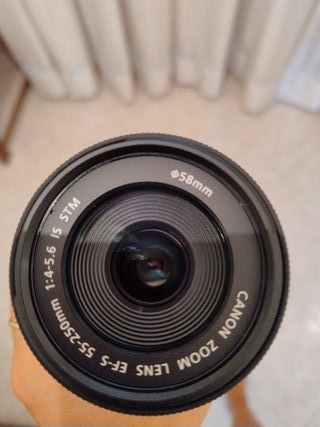 Canon Zoom Lens EF-S 55-250mm