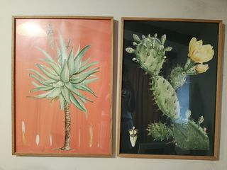 2 Cuadros botánicos