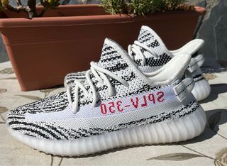 Yeezy 350 Zebra - Talla 42