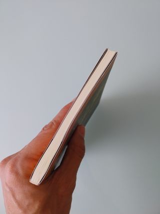 Las gafas de oro. La novela de Ferrara. Libro segu